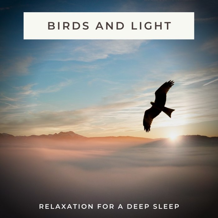 Meditation music for deep relaxation