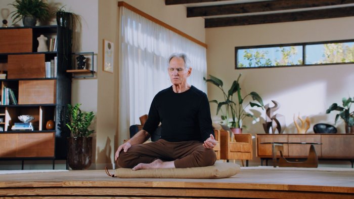 Kabat zinn jon meditation