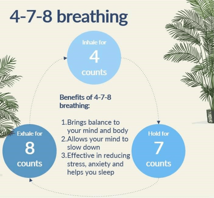 Meditation breathing techniques for beginners