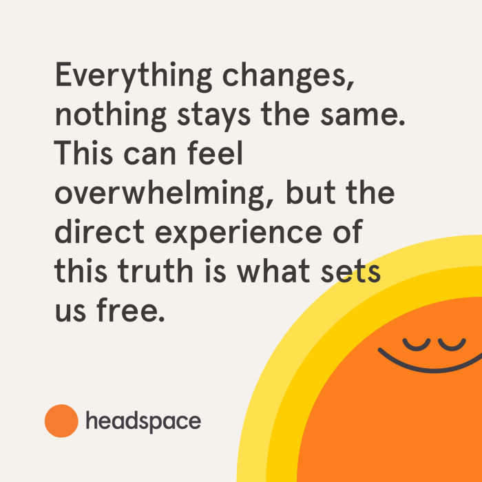 Headspace cost