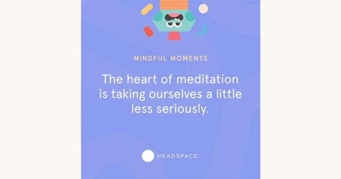 Headspace cost