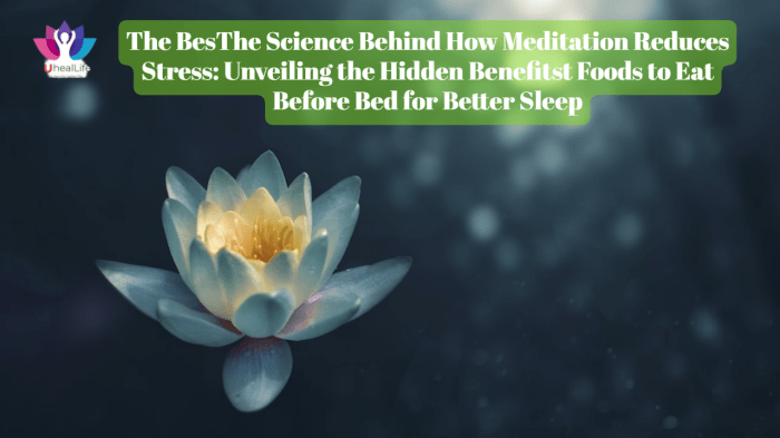 Scientific studies on meditation and brain health